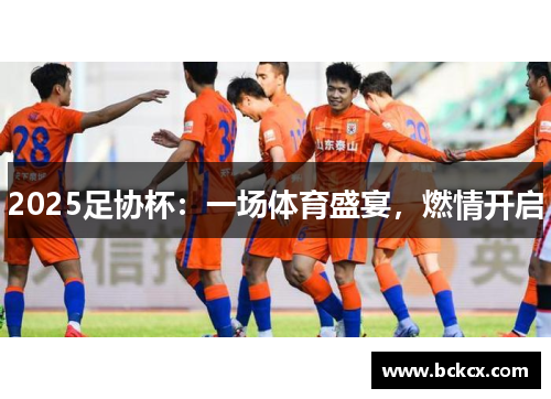 2025足协杯：一场体育盛宴，燃情开启